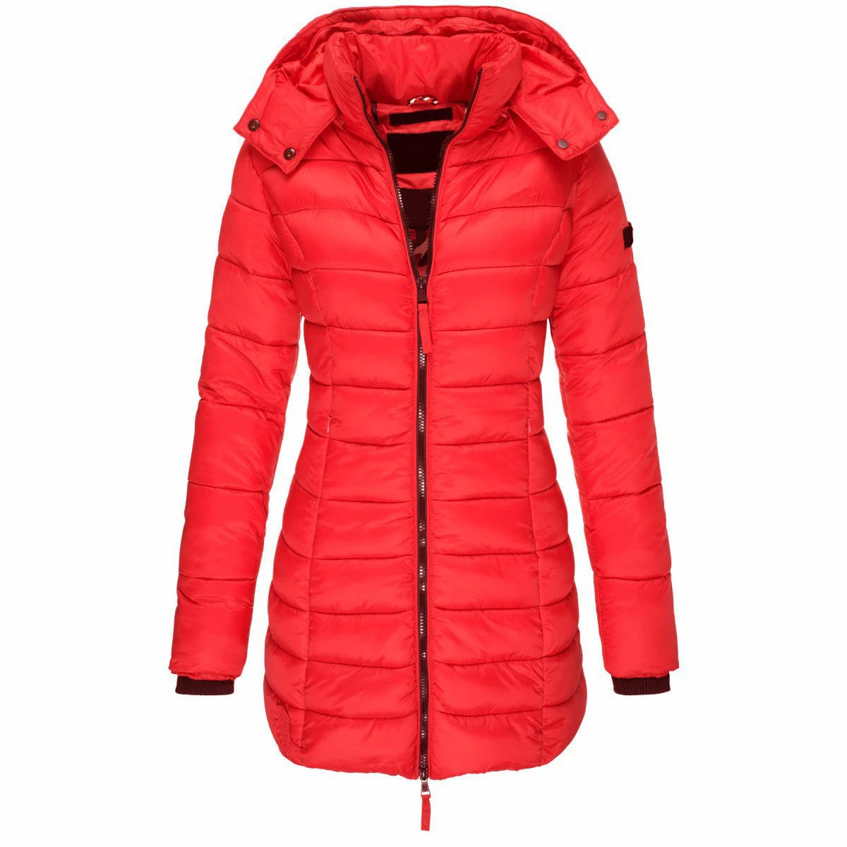 Winter Jackets for Women Zipper Hooded Cotton Padded