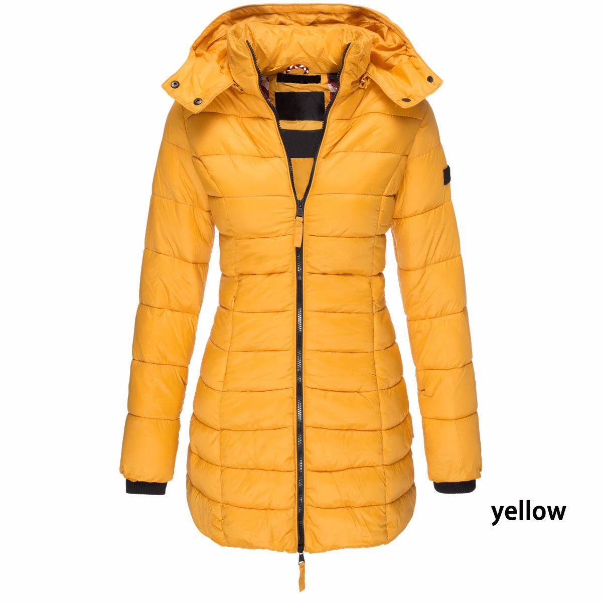 Winter Jackets for Women Zipper Hooded Cotton Padded