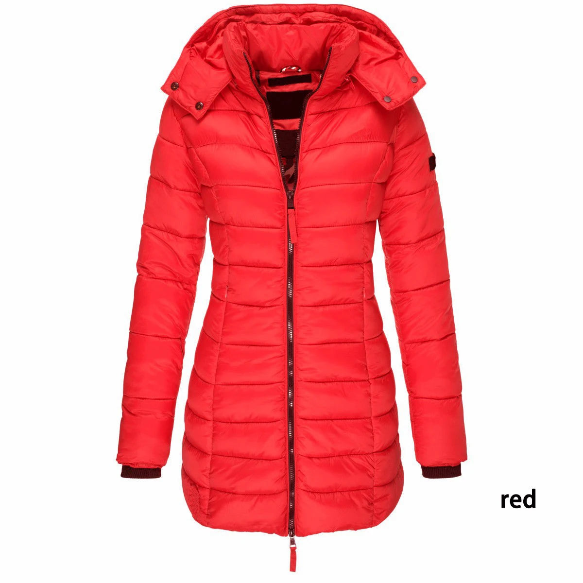 Winter Jackets for Women Zipper Hooded Cotton Padded